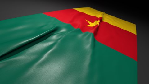 Cameroon National Flag, Flag on a desk with perspective