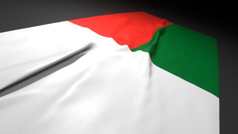 Madagascar National Flag, Flag on a desk with perspective