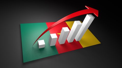 カメルーン国旗, 国旗の上に湧く赤い矢印と白い上昇グラフ