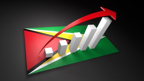 Guyana National Flag, Red arrow and white upward graph rising above the national flag