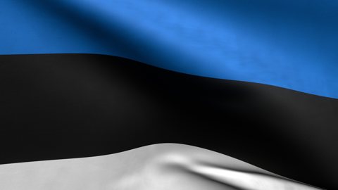 Estonia National Flag, Zoomed in waving flag