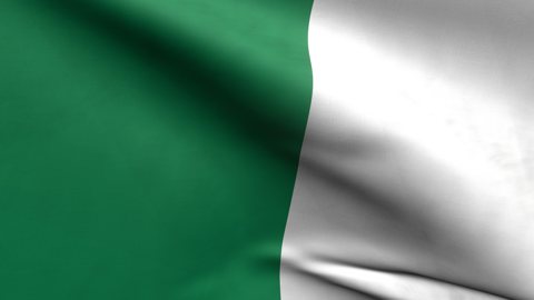 Nigeria National Flag, Zoomed in waving flag