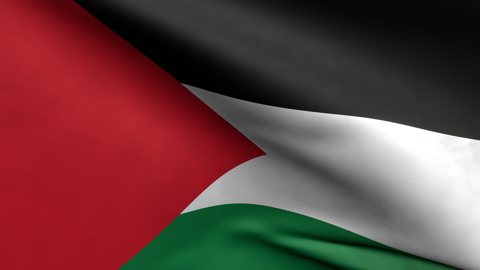 Palestine National Flag, Zoomed in waving flag