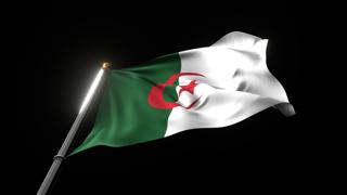 Algeria National Flag, A fluttering national flag and flagpole viewed from below on a black background