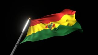 Bolivia National Flag, A fluttering national flag and flagpole viewed from below on a black background