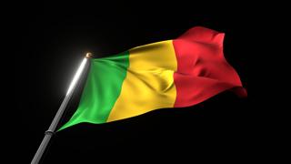 Mali National Flag, A fluttering national flag and flagpole viewed from below on a black background