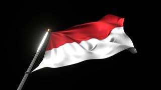 Monaco National Flag, A fluttering national flag and flagpole viewed from below on a black background