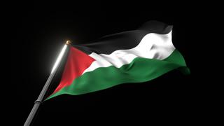 Palestine National Flag, A fluttering national flag and flagpole viewed from below on a black background