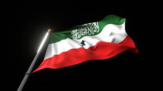 Somaliland National Flag, A fluttering national flag and flagpole viewed from below on a black background