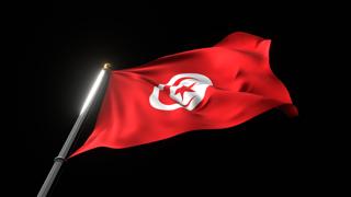 Tunisia National Flag, A fluttering national flag and flagpole viewed from below on a black background